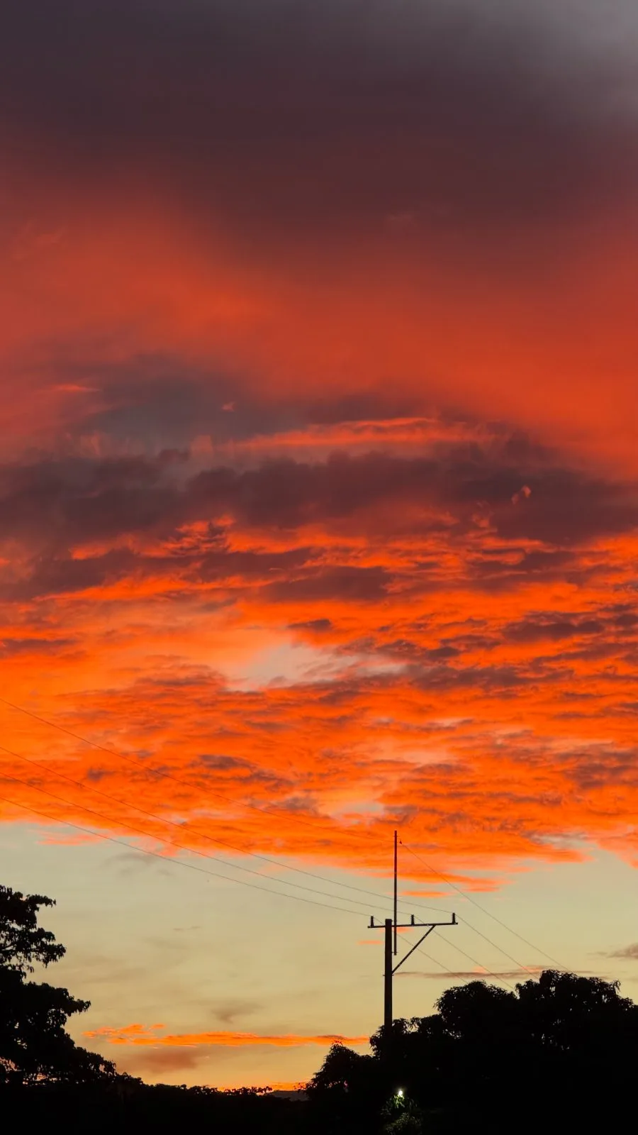 Atardecer de nubes naranjas sobre siluetas de árboles