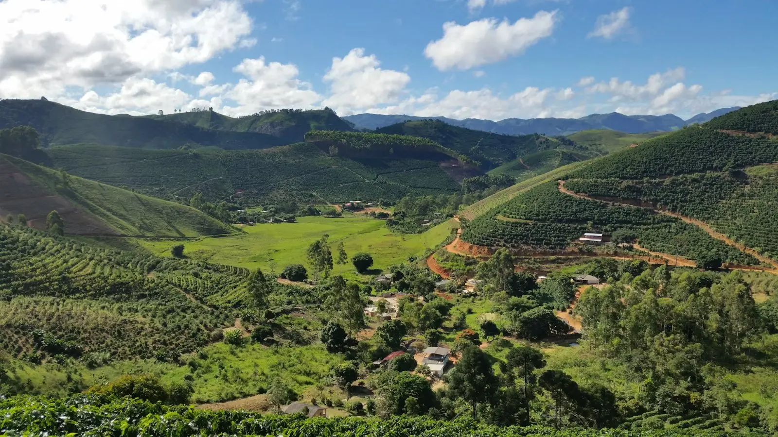 Montañas sembradas de café con fincas en el valle